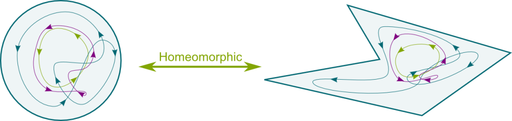 Homeomorphism of Homotopy